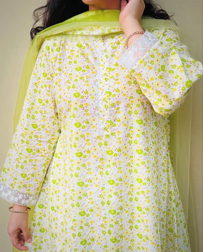 3 Pcs (Printed)